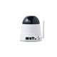 DLINK Caméra de surveillance réseau - PTZ - couleur ( Jour et nuit ) - 1280 x 720 - audio - sans fil - Wi-Fi - 10/100 - MJPEG, H