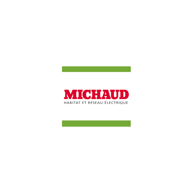 MICHAUD